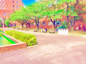 eラーニング講習内容の一覧